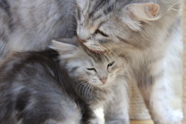 Getting all chic for the photo- thanks mom!